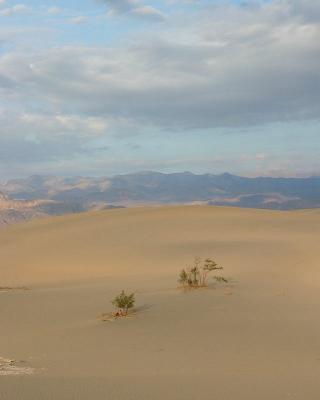 Near the Dunes in Death Valley