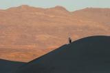 Photographer on the Dunes, Death Valley