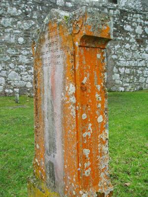 Islay - kildalton chapel lichen covered grave