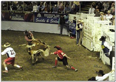 Bull Riding is a multi person Sport