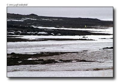 spot the fisherman copy.jpg