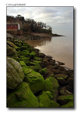 green rocks from pier copy.jpg