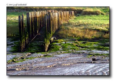 mud and green and wood of severn at Portishead pier (Marina exit) copy.jpg