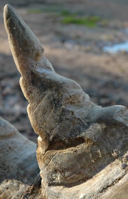 DSC_7626_web.jpg