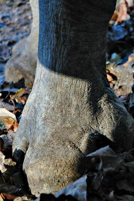DSC_7627_web.jpg
