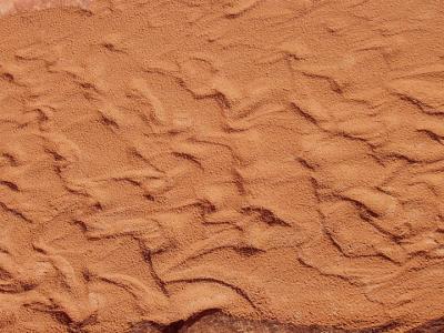 Sand ripples