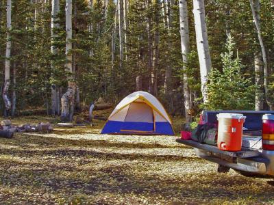 9000 ft campsite in Dixie Nat'l Forest