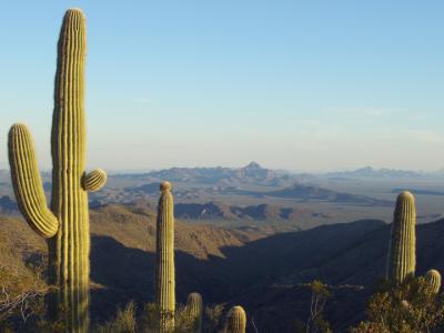 Vista looking southeast