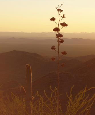 Last shot before dusk