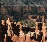 Bryce Canyon hoodoos 1