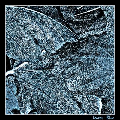 Leaves - Blue