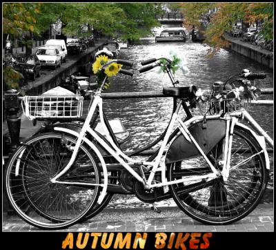 Autumn Bikes