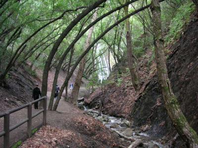 Path to the Nojoqui Falls