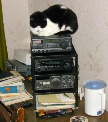 Blackie on hamradio equipment