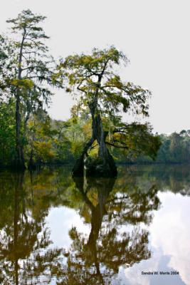 Photo Of The Week Gallery: Sat. Oct. 16 - Fri. Oct. 22