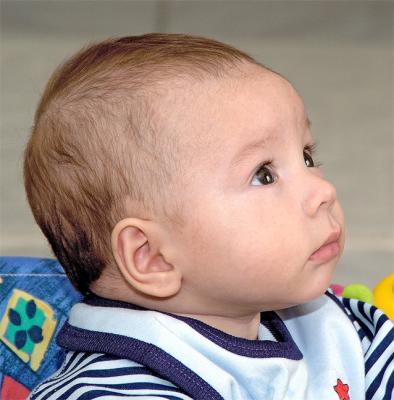 19-wks-Fascination.jpg