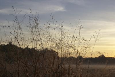 slt_beatonbogs_090.jpg