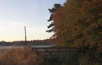slt_beatonbogs_093.jpg
