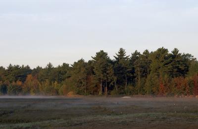 slt_beatonbogs_097.jpg