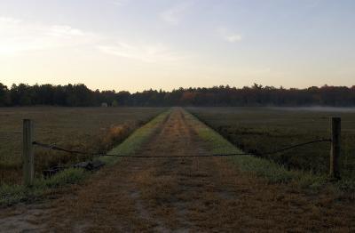 slt_beatonbogs_102.jpg