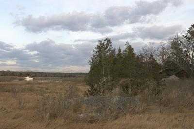 slt_moore-tabor cr_006.jpg