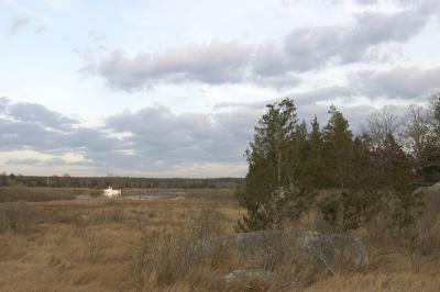 slt_moore-tabor cr_007.jpg