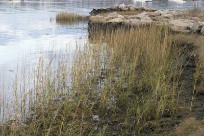 slt_moore-tabor cr_054.jpg