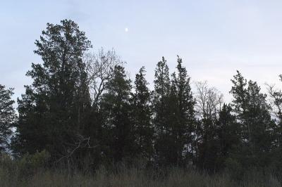 slt_moore-tabor cr_072.jpg