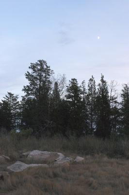 slt_moore-tabor cr_073.jpg
