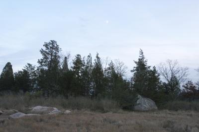 slt_moore-tabor cr_074.jpg