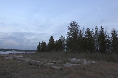 slt_moore-tabor cr_080.jpg