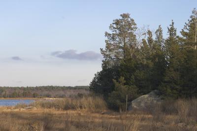 Sunny November Afternoon