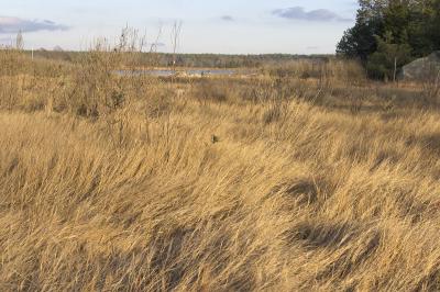 slt_moore-tabor_088.jpg