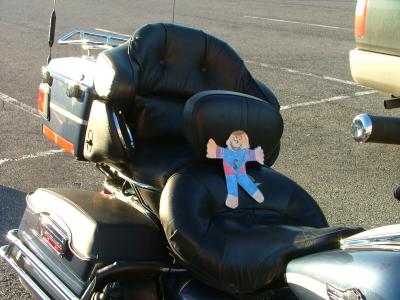 u49/carlfetchmor/medium/40845954.FlatStanley04.jpg