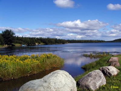 A Scene From Richmond County ~ Allen's Choice