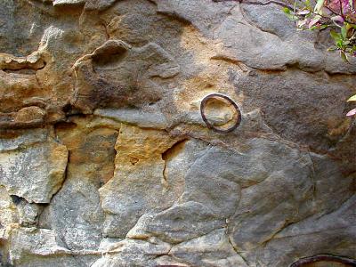 Petit Jean rock circles.jpg