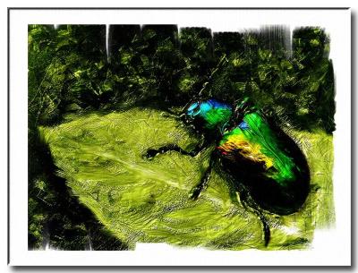 bugs-me-Painter.jpg