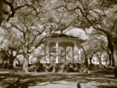 Sepia Dreams 23