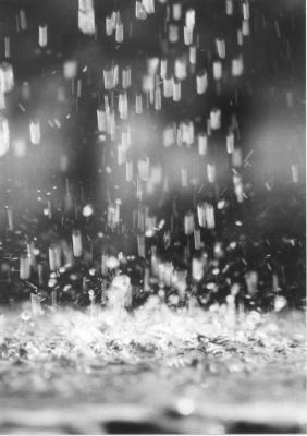 Team 3 - It's Raining - 2nd Place