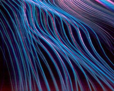 Waves of Light