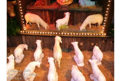 2003 Christmas 126 T.tif