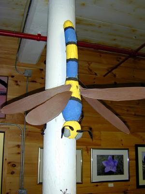 Friendly Dragonfly