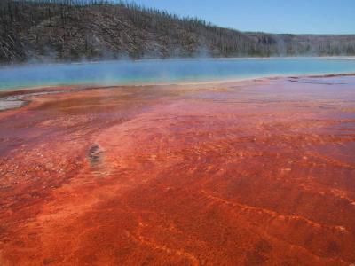 Grand Prismatic