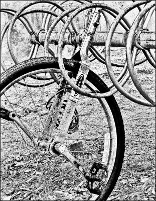 The Unicycle(03.17.05)