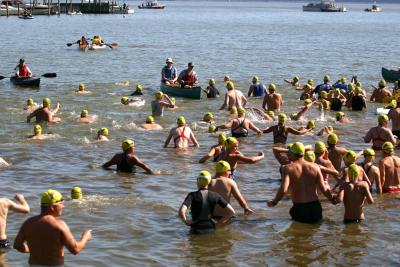 Swimmers Enter the Water
