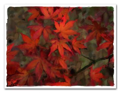 Rusty Leaves.jpg