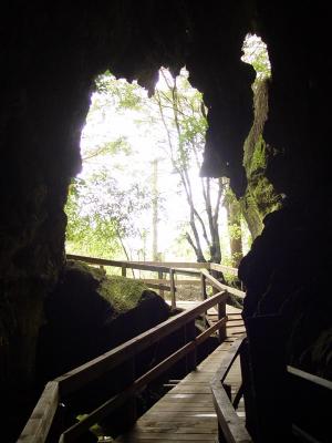 Kawiti Glow Worm Cave