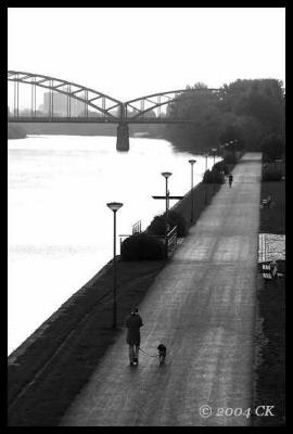 Morning walk