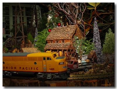 Christmas Train_04.jpg