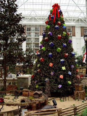 Christmas Tree.jpg